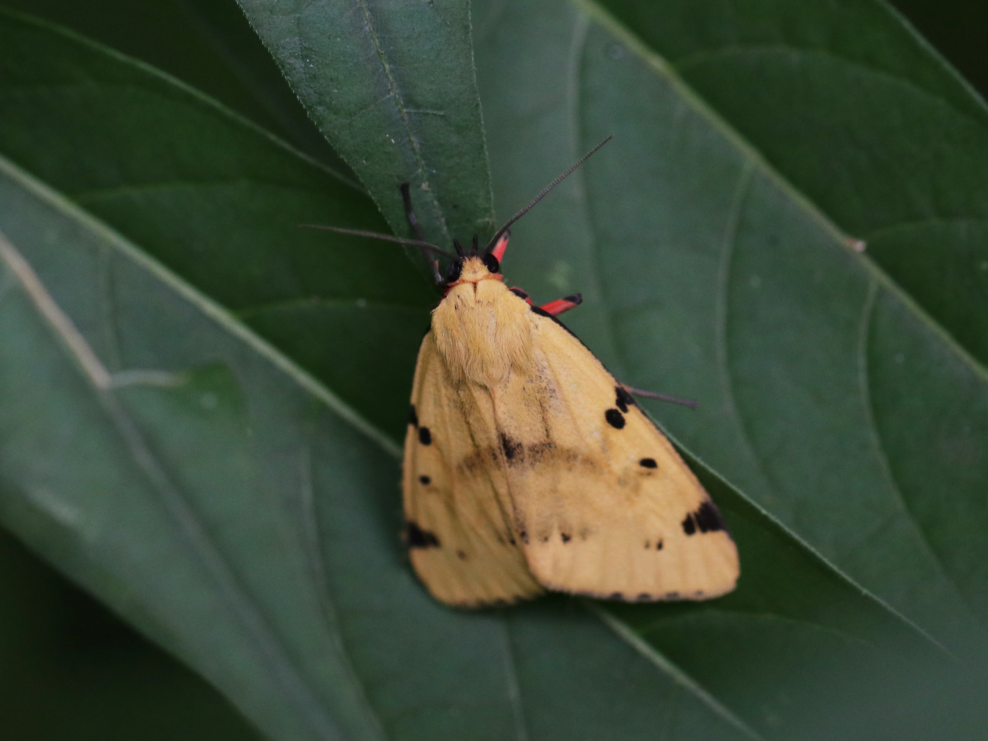 photo_1